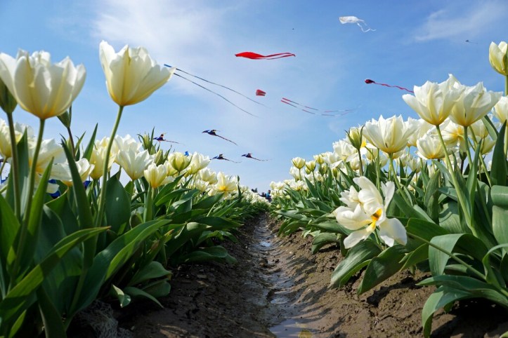 DSC08081 copy-1024x683