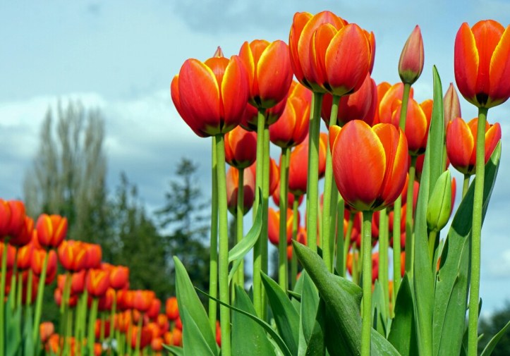 DSC08098_1 copy-1024x716