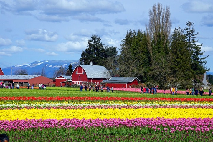 DSC08137_1 copy-1024x683