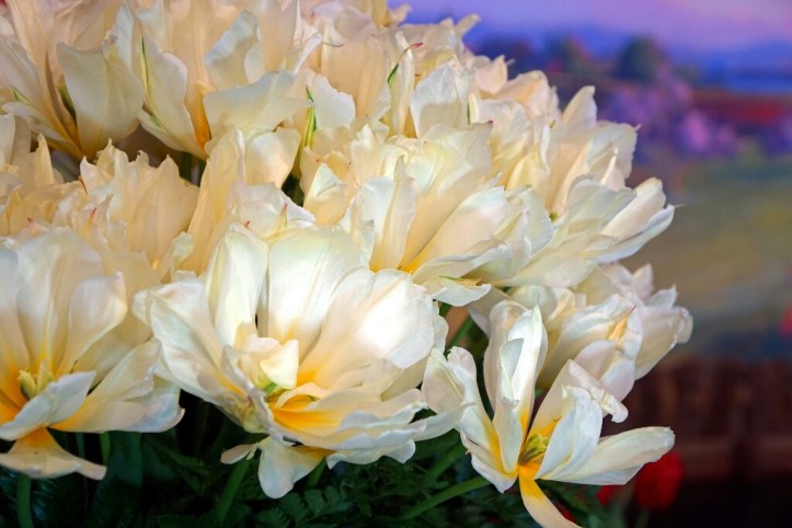 DSC08154 copy-1024x683