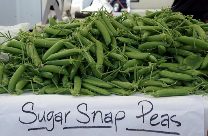 DSC09229_copy-1024x669