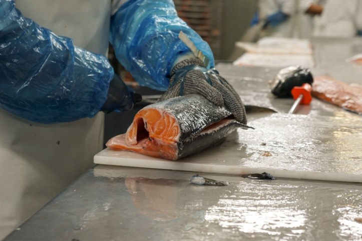 LRM_EXPORT_168744654005880_20181022_202354608-1024x683